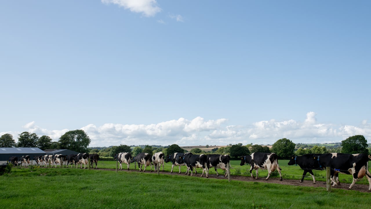 NDC 'Raising the Dairy Voice' series to launch on Agriland