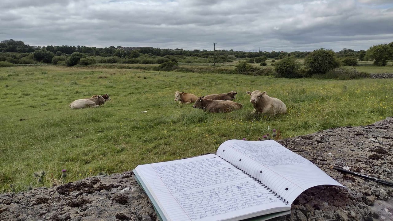 Best in Rural Writing contest 2024 opens for submissions