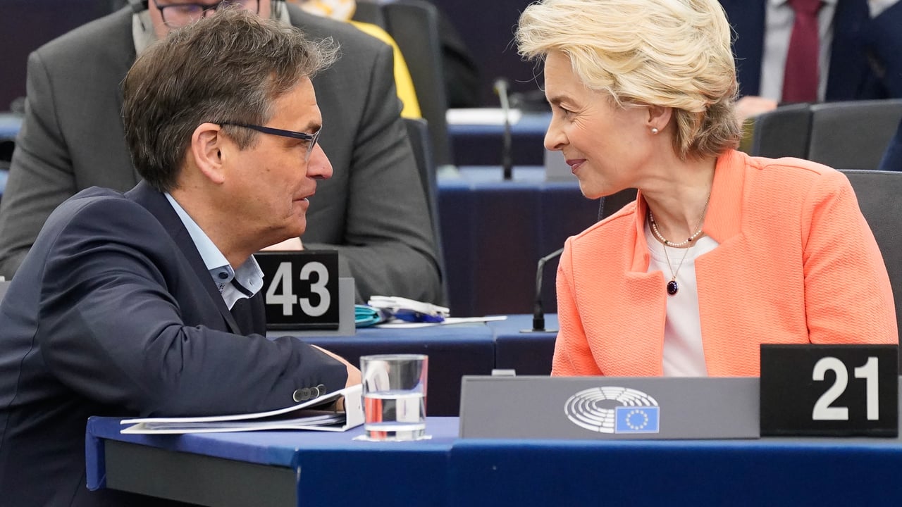 EPP labels EU deforestation legislation a 'bureaucratic monster'