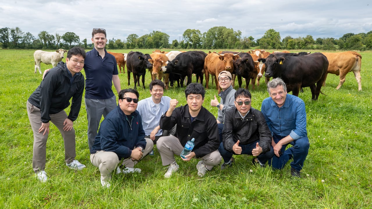 South Korean beef buyers visit Irish farms