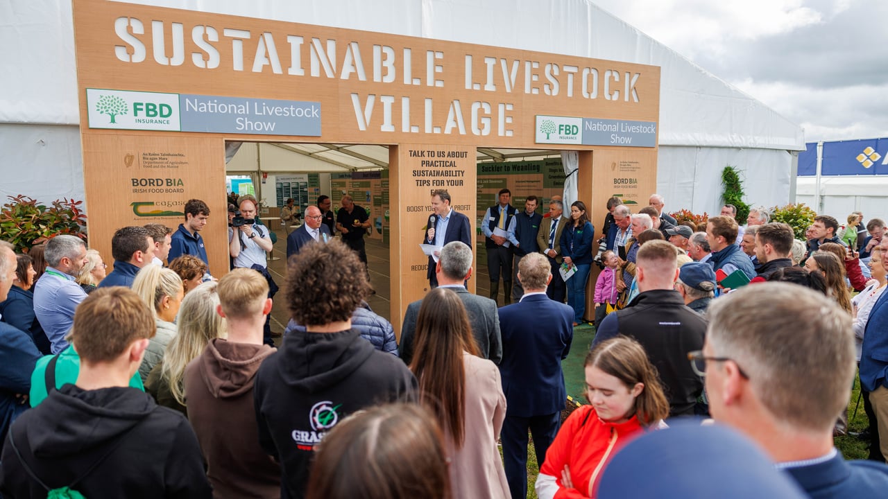 Tullamore Show's Sustainable Livestock Village last year - which is set to return in 2024 Source: Tullamore Show