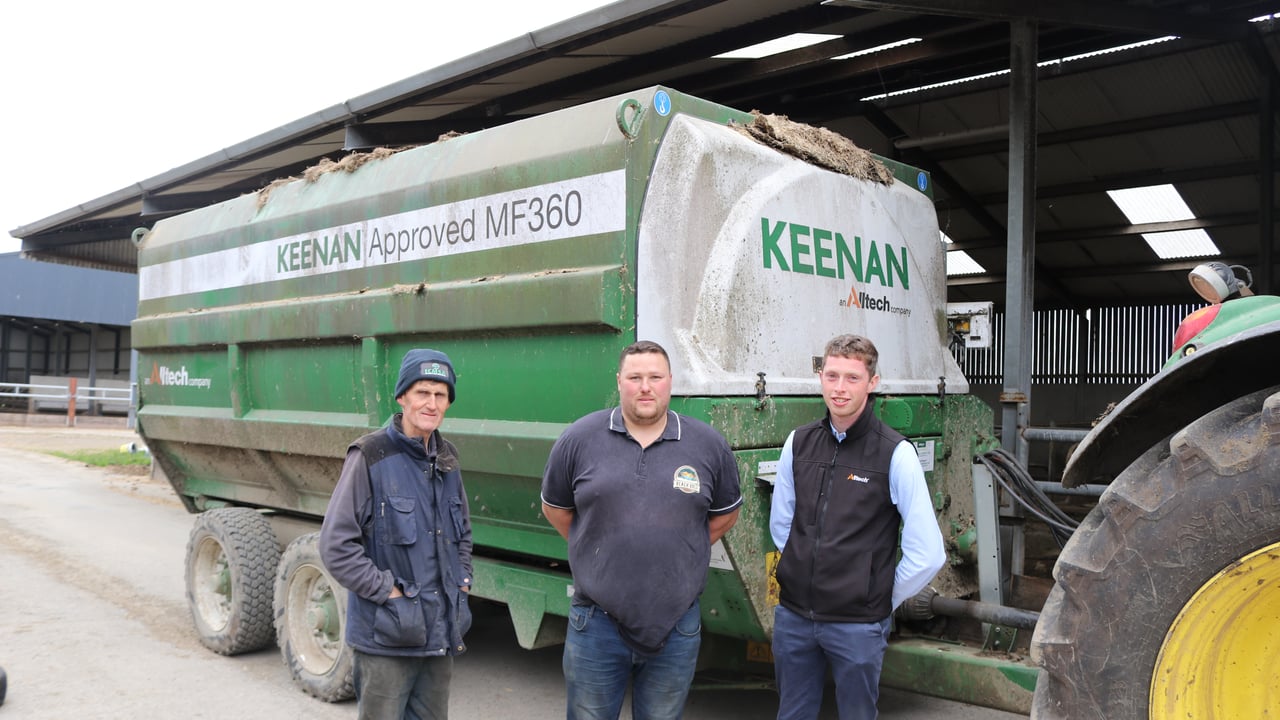 P.J. and Padraig Killeen and Niall Nolan