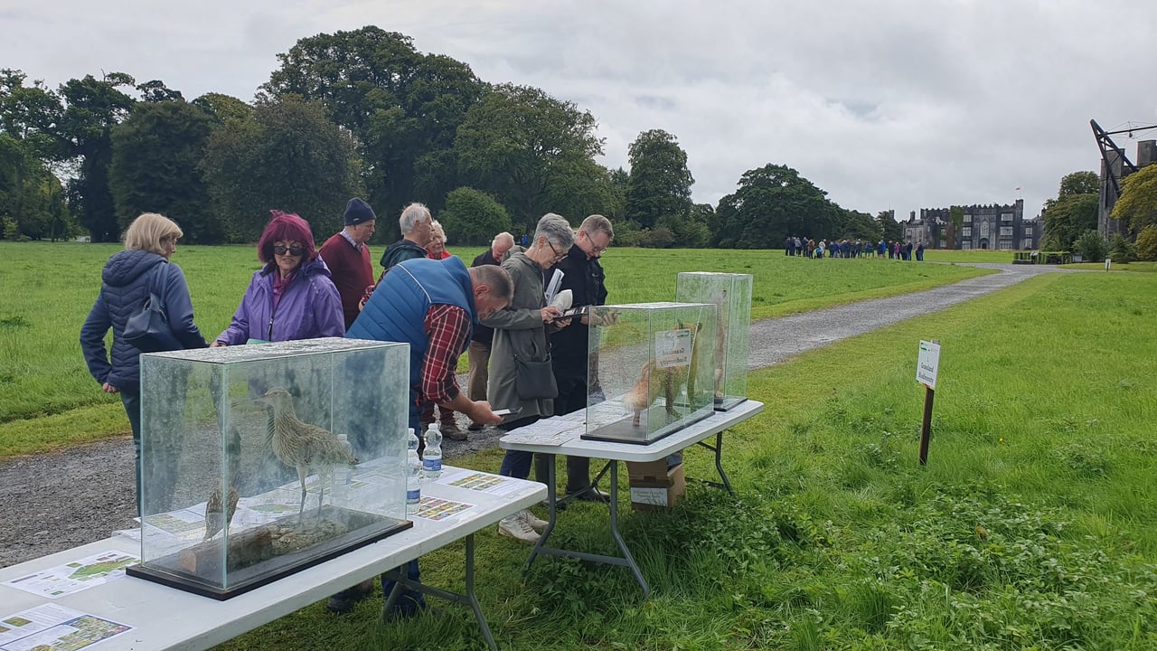 Watch: All things biodiversity on information trail in Birr