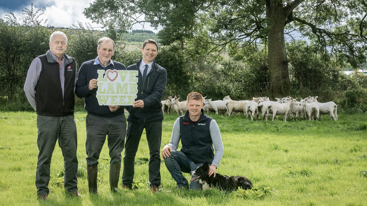 (l-r) Gerry Melotte, ABP Linden, Crawford Wilson, UFU beef and lamb committee vice chair and Farm Quality Assured Scheme (FQAS) farmer, Colin Smith, LMC chief executive and Ian Wilson, FQAS farmer