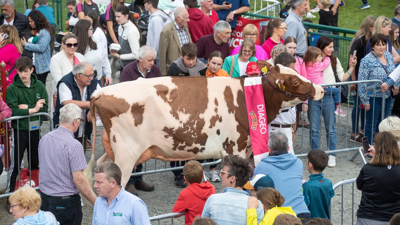 2023 Diageo Baileys Cow competition. Image source: Diageo