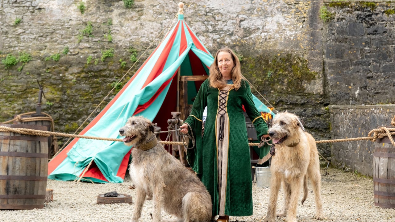 Bunratty Castle & Folk Park's Sinead Moloney with resident Irish wolfhounds Rian and Míde. Image source: Paul Corey