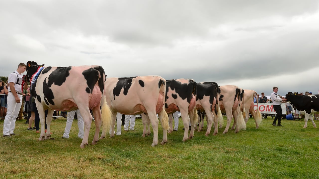 Deadline extended for entries to Tullamore Show