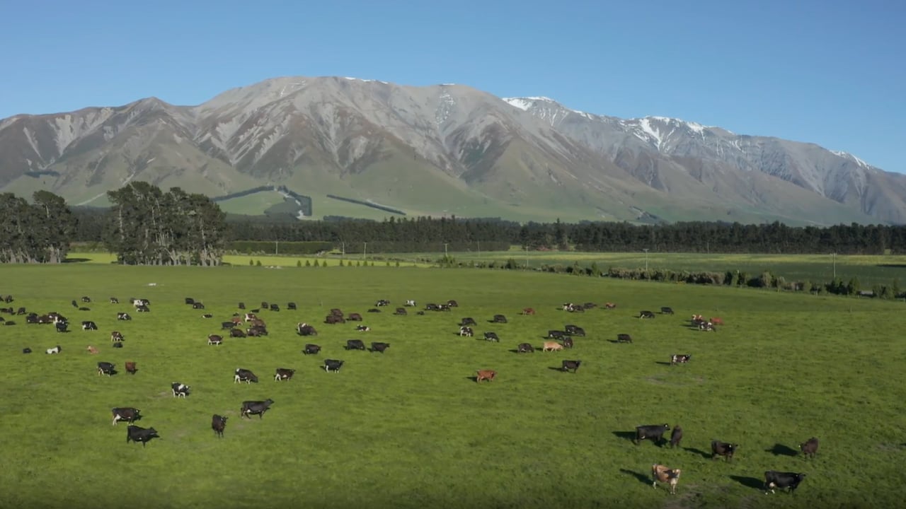 A Fonterra farmer's herd in Methven, New Zealand Source: Fonterra