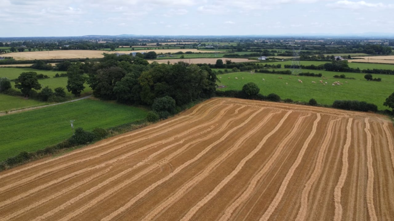 Watch: Harvest 2024 on a tillage farm and why straw decision was a 'bombshell'