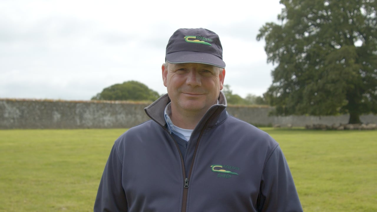 Flock Forwards, not Backwards Series: How to manage worms on farm.  Episode 3