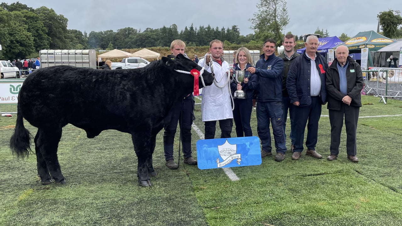 Virginia Show Champions from the beef-breed classes