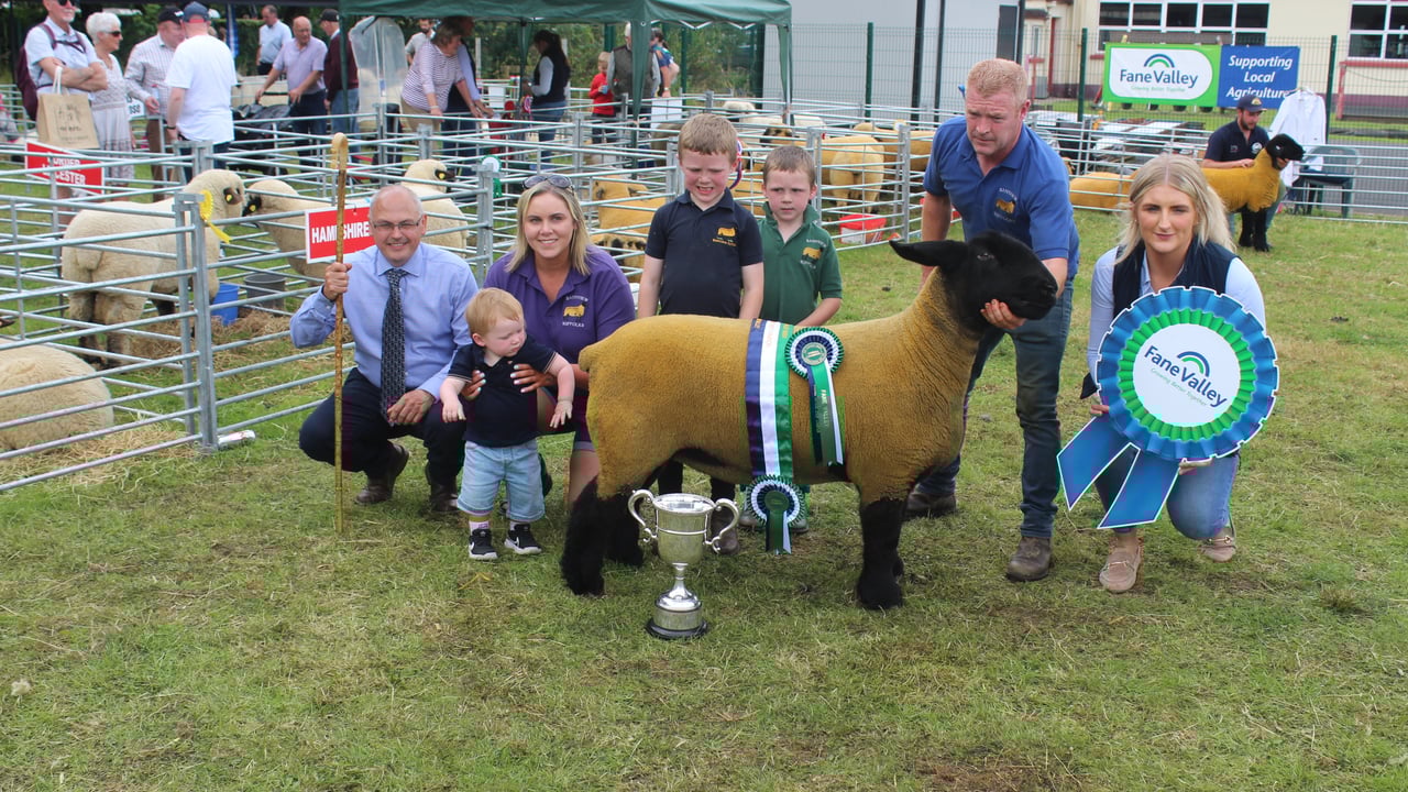 The sheep inter-breed champion at Clogher Valley Show and connections