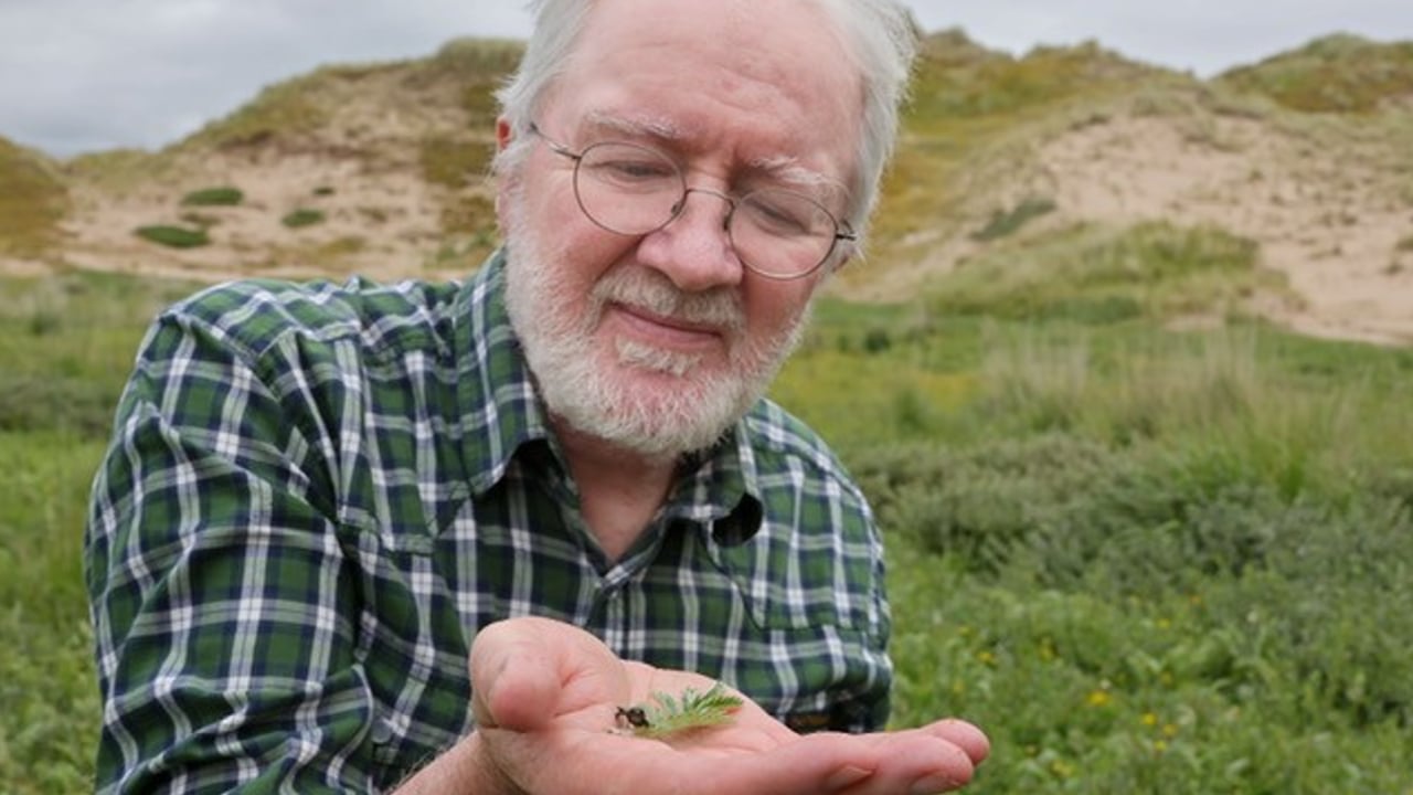Minister Malcolm Noonan releasing natterjack toads as part of an NPWS  nature conservation project Source: @noonan_malcolm