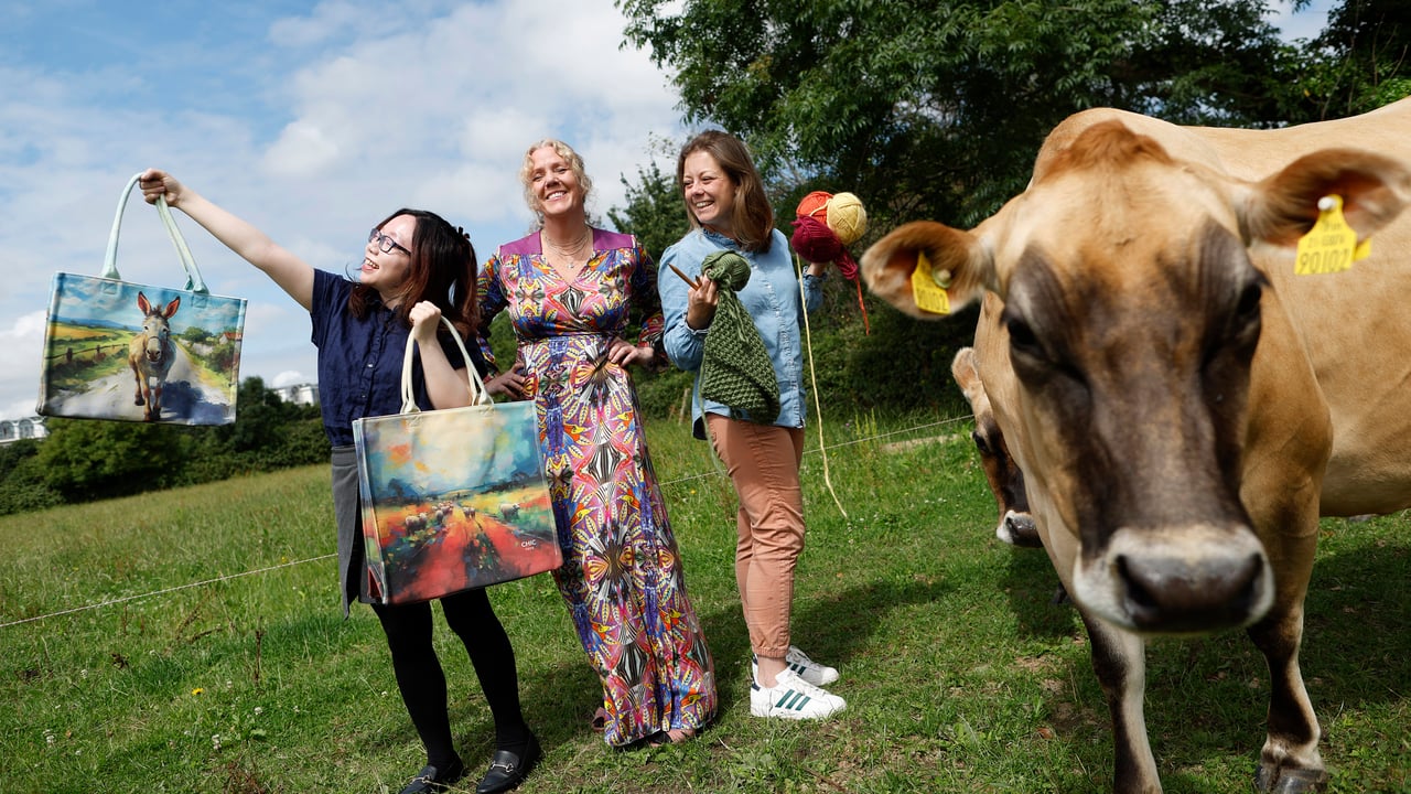 Jennifer Rothwell, Anok O'Connell and Wynne
Liu who will be exhibiting their products at the Local Enterprise Office initiative, at this year’s National Ploughing Championships. Image Source: Julian Behal Photography