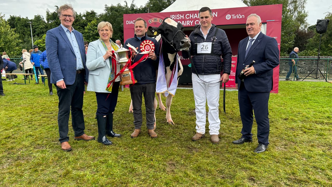 Minister for Rural and Community Development, Heather Humphreys, presents the cup for the Baileys champion cow for 2024