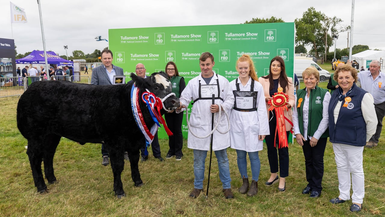 The senior Commercial champion owned by Michael Lynch from Ballybofey, Co Donegal pictured with Minister for Agriculture, Food and the Marine Charlie McConalogue TD and representatives from Tullamore Show and FBD at Tullamore Show, Sunday 11th August 2024
Source: Alf Harvey