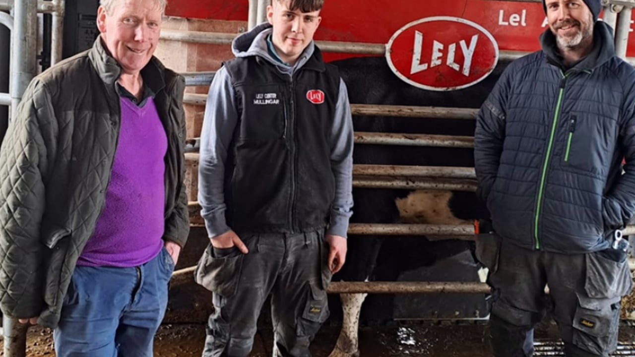 Watch: Over 2,000 robots installed to milk cows in Ireland