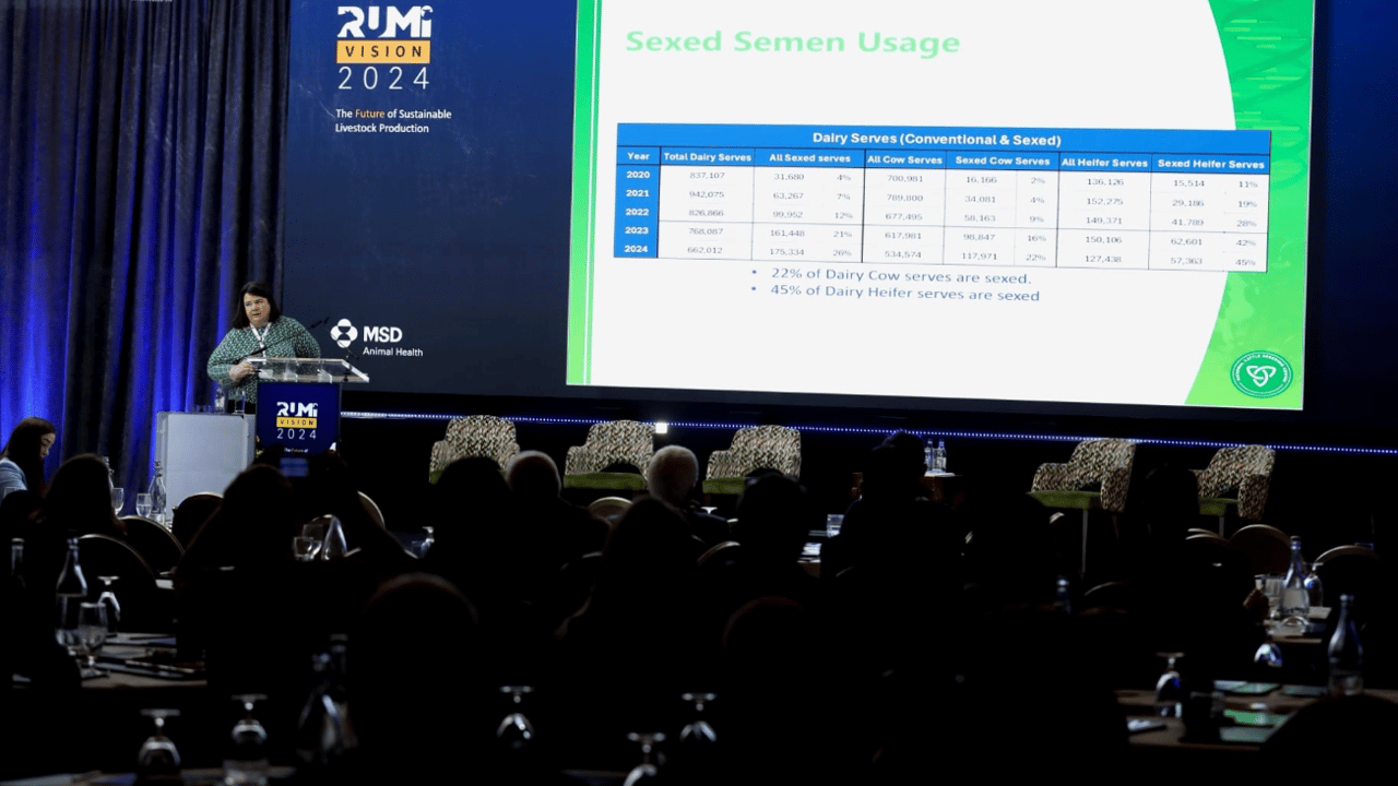 Dairy sire AI usage falling but beef on the rise