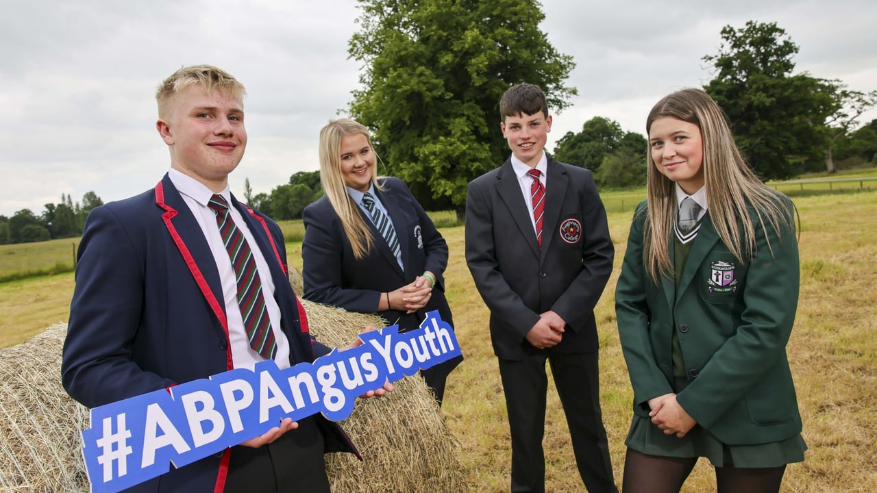Northern Irish Angus Youth Challenge. 
Source: Fennell Photography 2024
