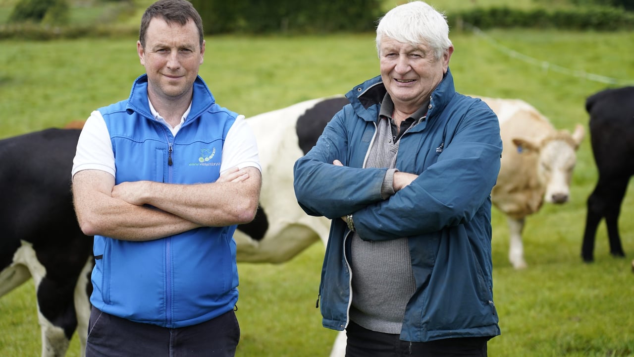 Watch: SenseHub is 'incredibly reliable' for Roscommon farmer