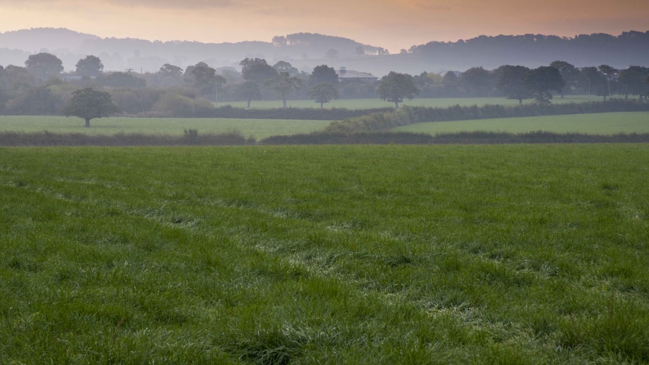 New Germinal varieties on England and Wales recommended list
