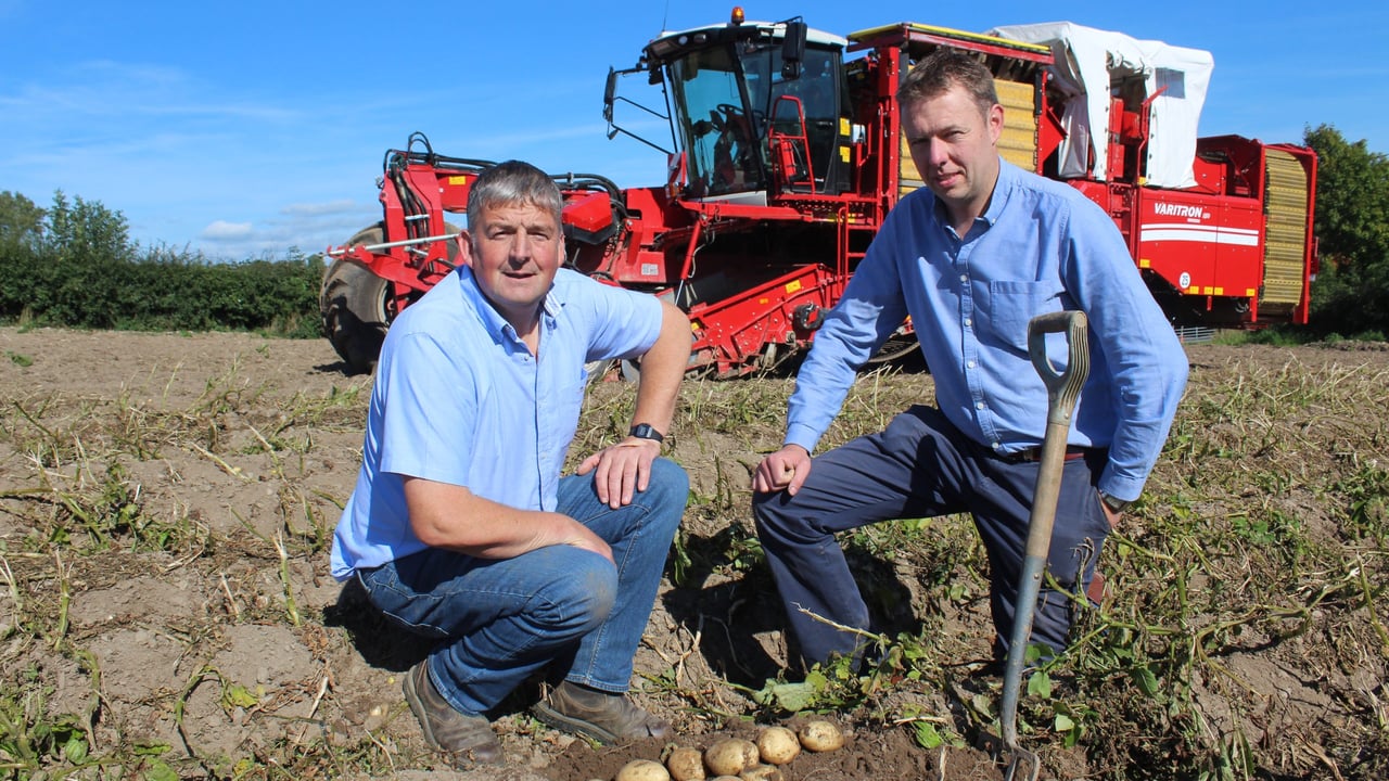 Co Down potato grower Alistair Moore (left) assessing a crop of Elland potatoes with Wilson's Country agronomist: Stuart Meredith