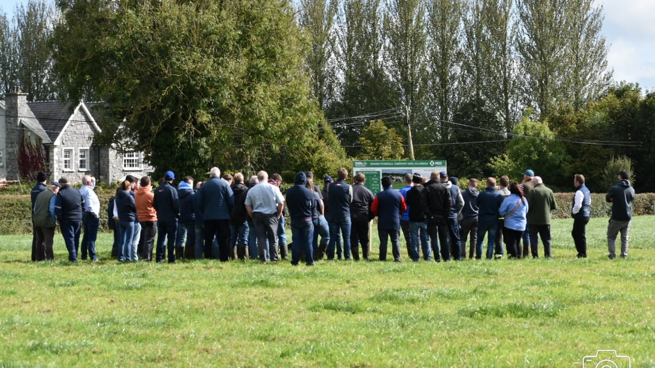 Crowds gather at the IHFA focus farm open day event. Source: IHFA