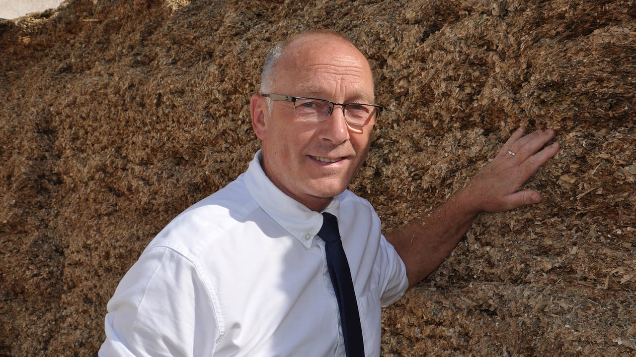 Maize silage could take on added significance as an energy source in winter dairy rations this season, said Volac silage expert, Ken Stroud
