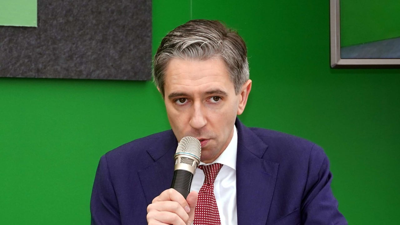 Tánaiste Simon Harris