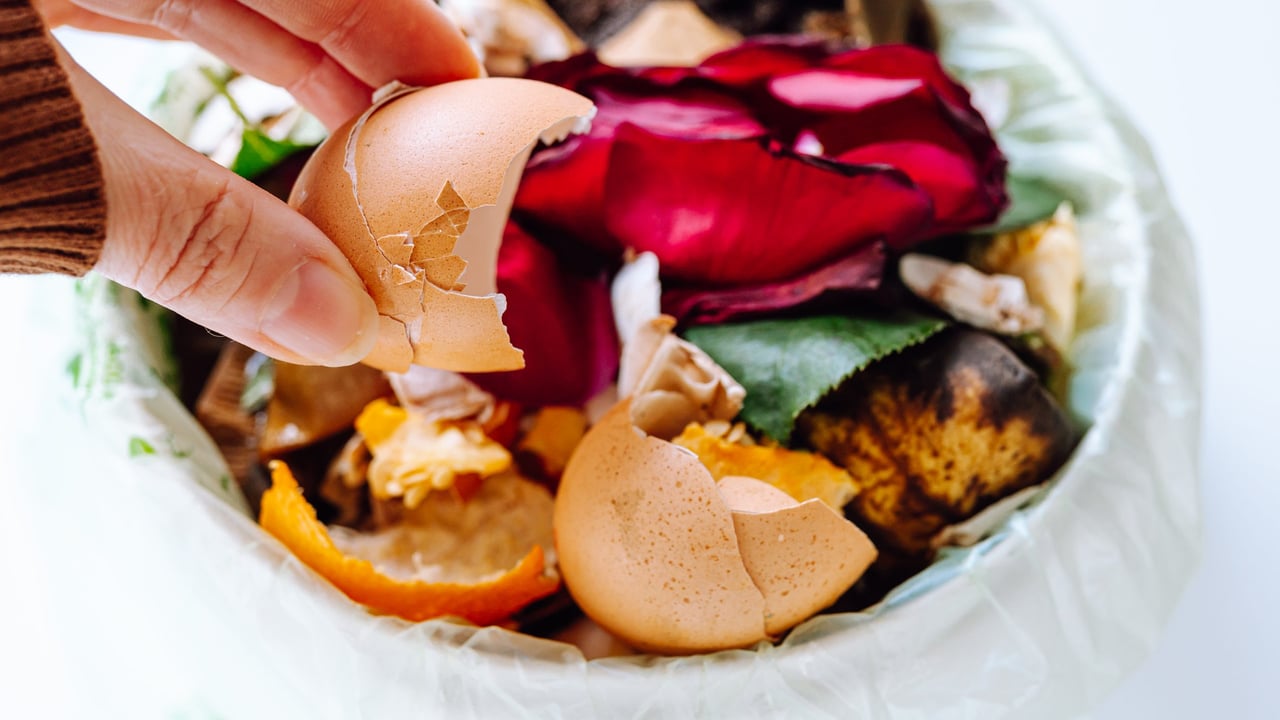 NGOs warn inaction on food waste is 'feeding climate change'