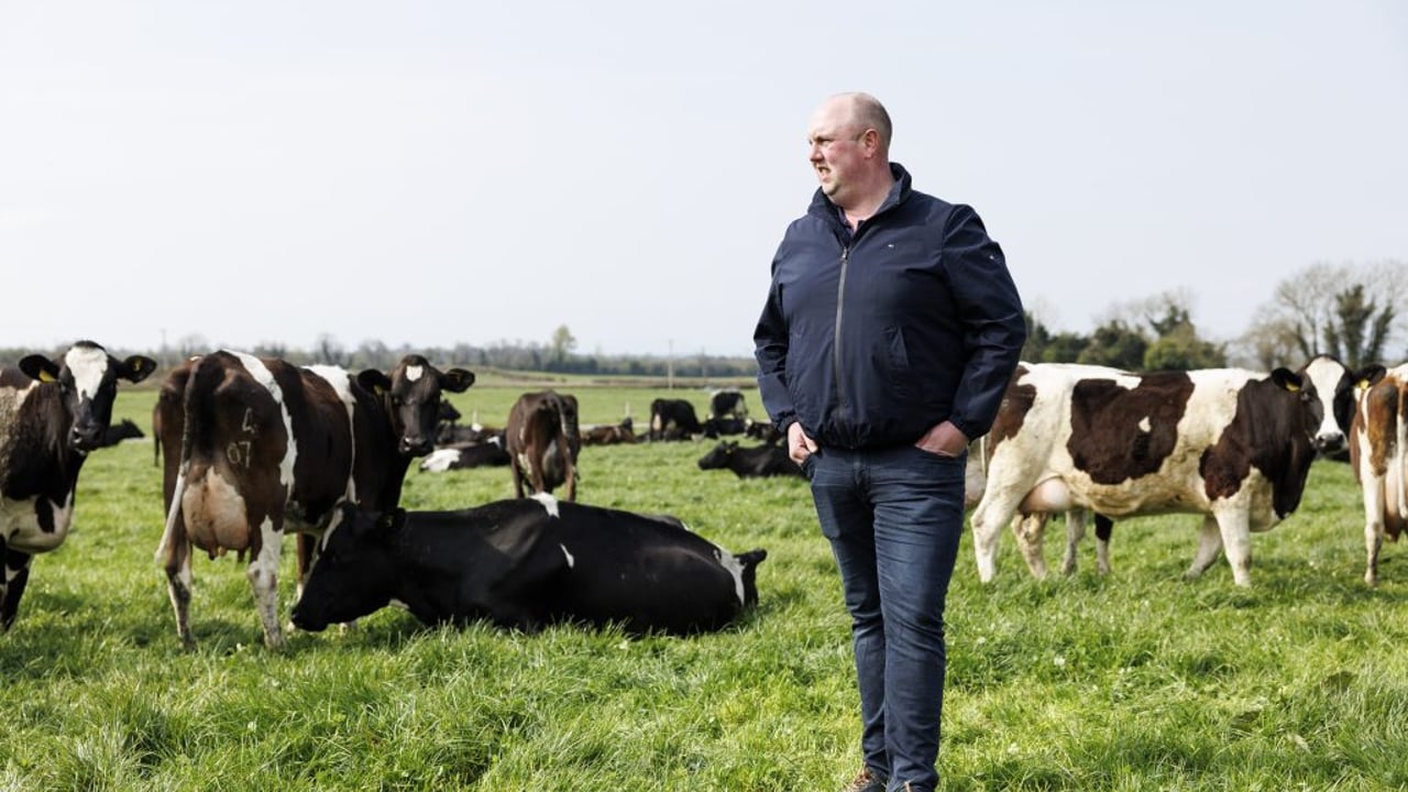 Denis Cody. Image source: Irish Grassland Association CLG