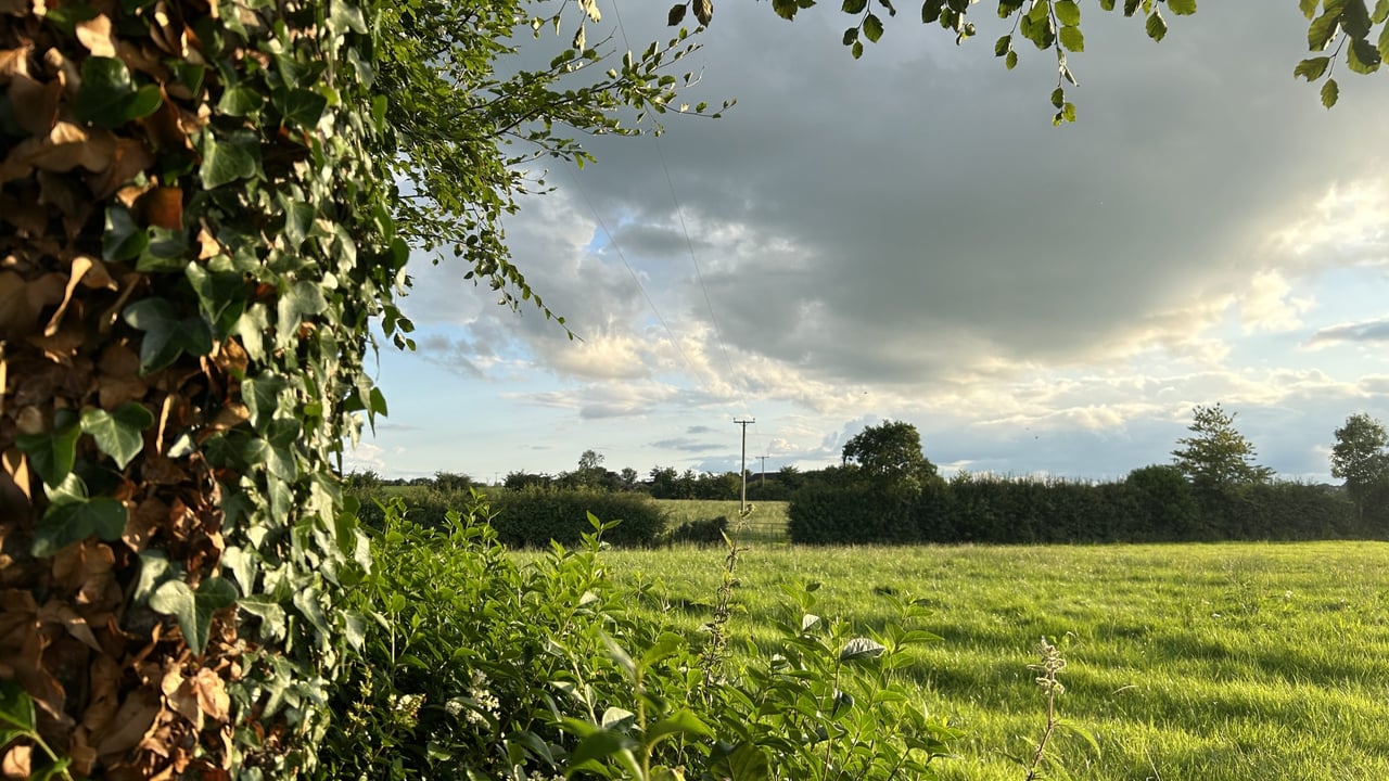 Farmers reminded that RZLT deadline is fast approaching