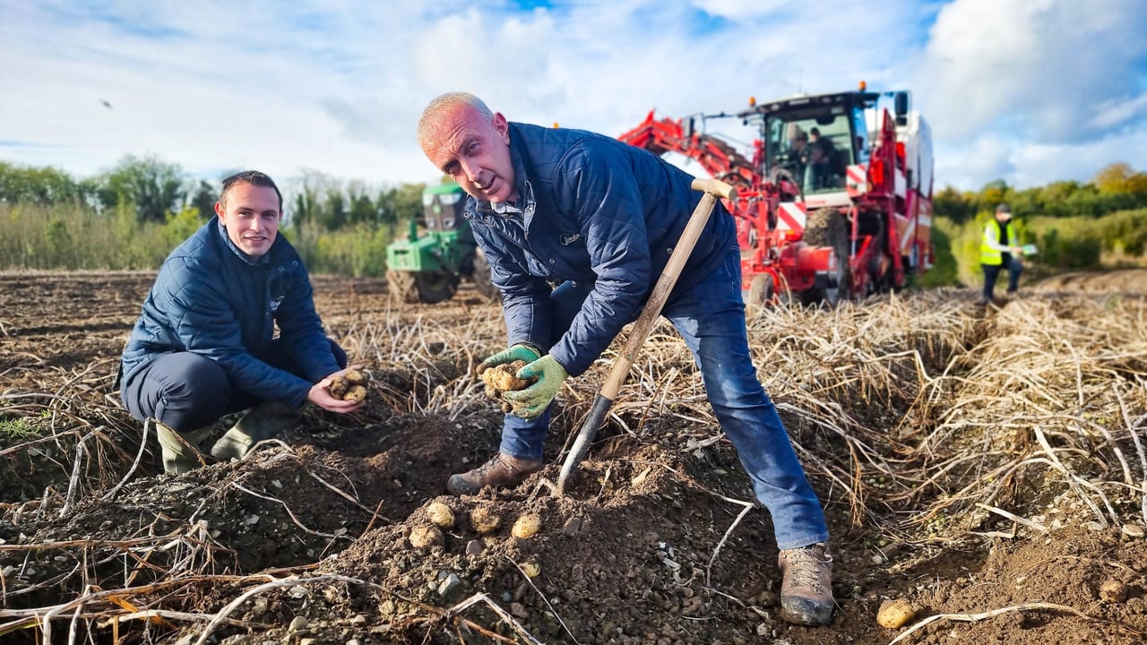 Philip Meade jnr. and Robert Devlin in the field at potato harvest time.