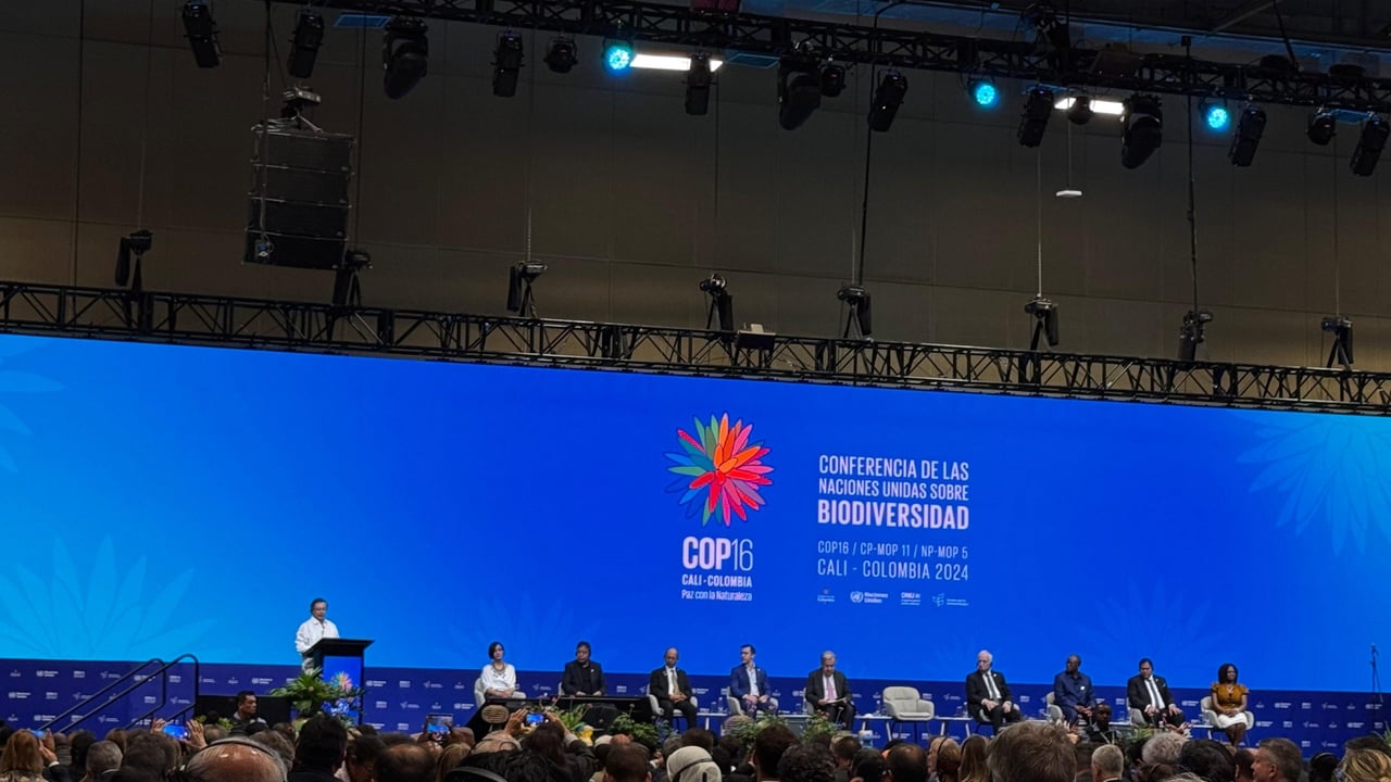 COP16 Colombia