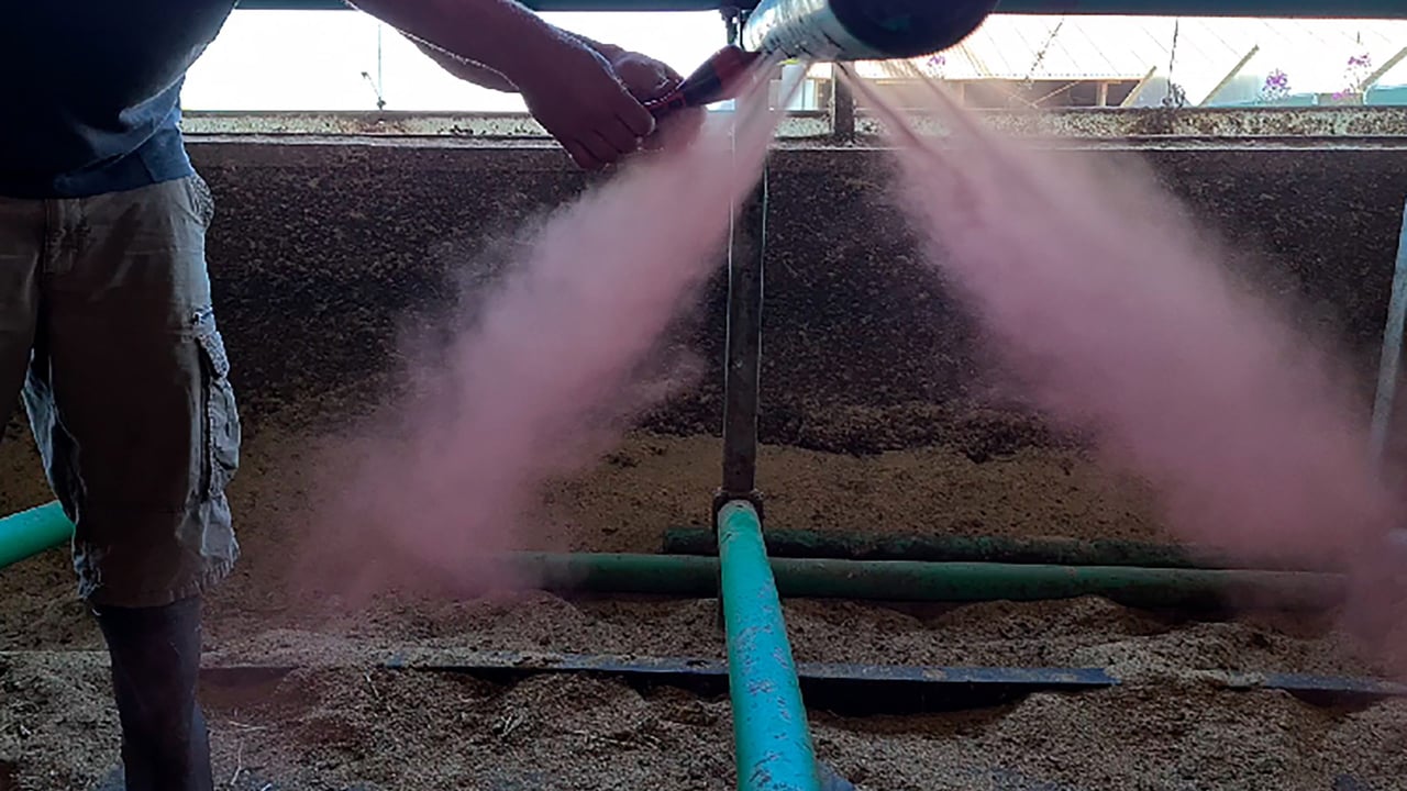 Cow-Welfare Flex Air Stall