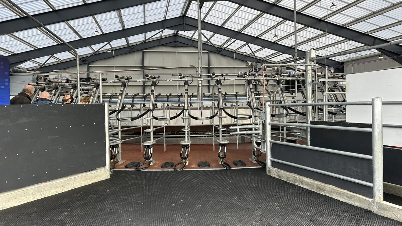 Denis Cody's new 54-bale Waikato rotary parlour