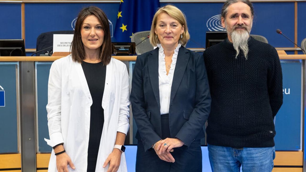 Ming elected vice-chair of EU Parliament delegation to Mercosur