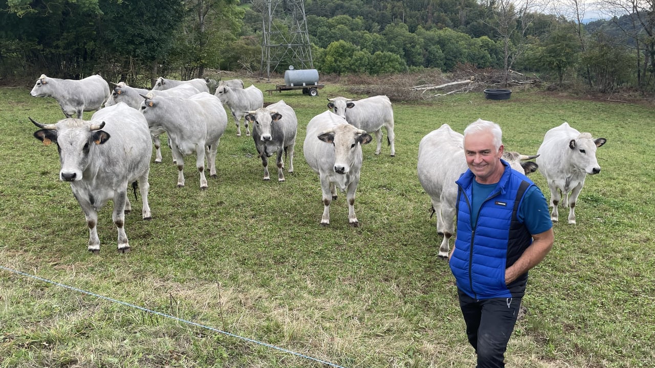 Hubert Jouve is a suckler farmer from Siauges Saint Marie, France