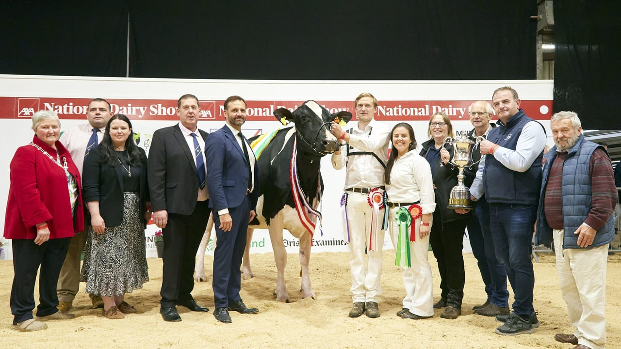 AXA National Dairy Show: Eedy Holsteins retains supreme title