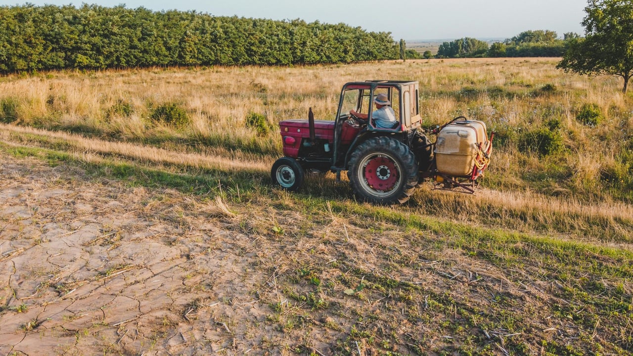 €400m EU support for Romanian farmers affected by drought