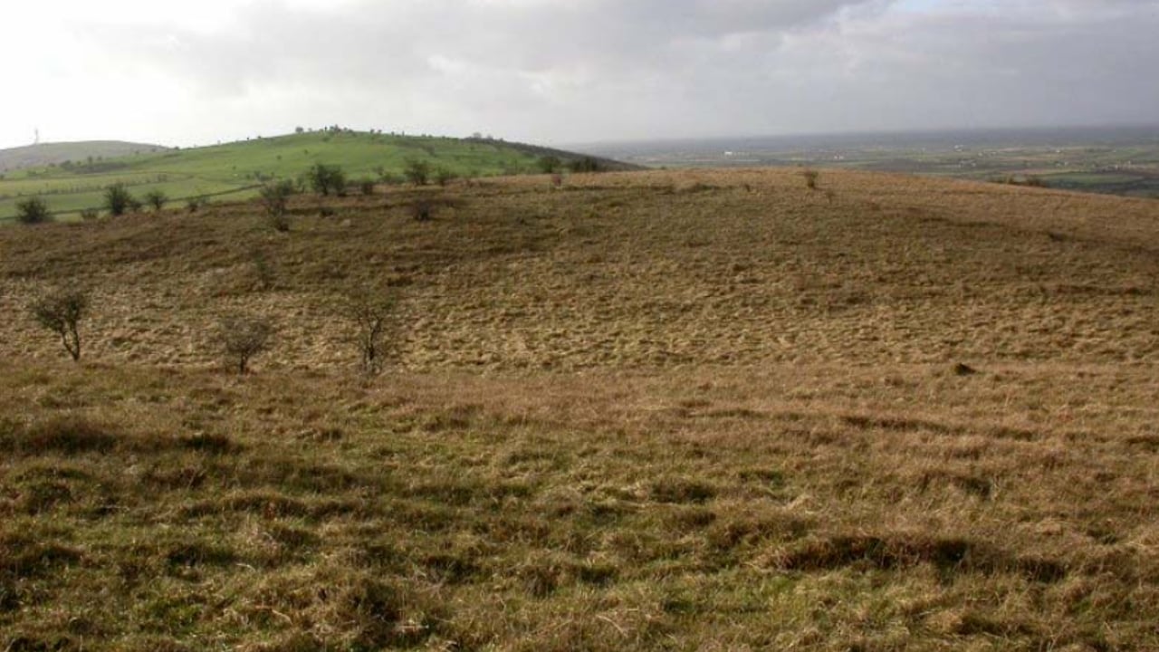 The lands are within and adjacent to the Cullahill Mountain Special Area of Conservation (SAC) in Kilkenny. Source: NPWS