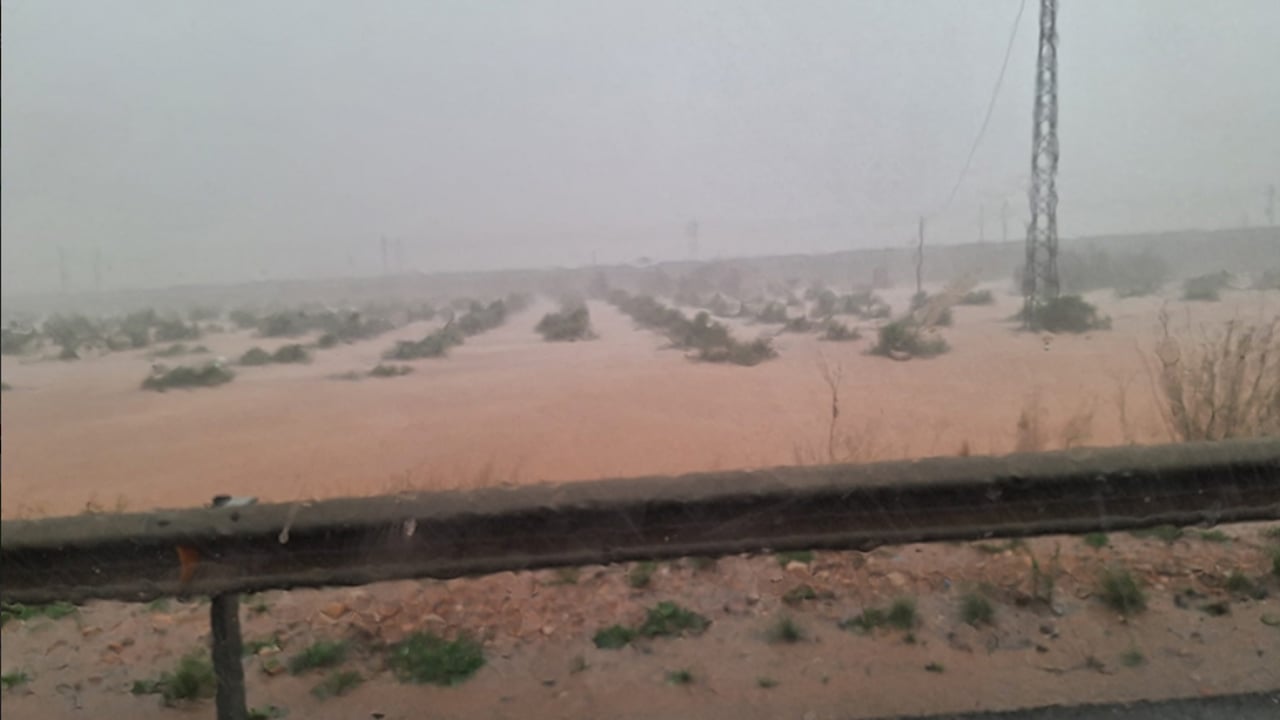 Spanish farmers facing 'catastrophic' losses after flash floods