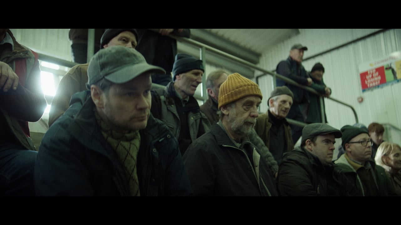 Film depicting farm intruder terror has Irish premiere