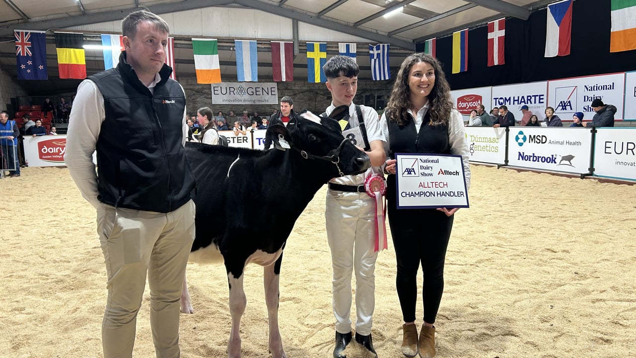 Stephen Harty winning the Novice Champion Handler