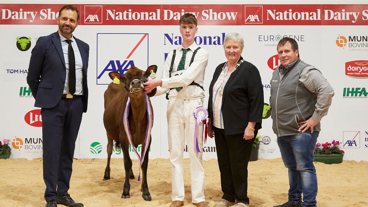 Day one of the AXA National Dairy Show 2024