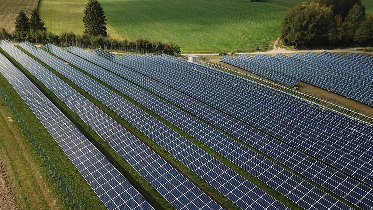 East Cork farmers 'selling dairy farms' for solar development - TD