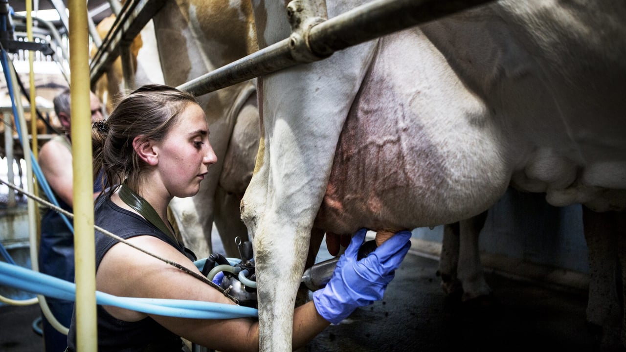 Women farming in the EU face 'issues' with finance access - Roche