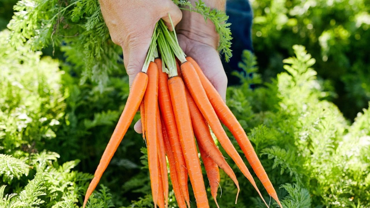 Image source: Grimmway Farms Facebook