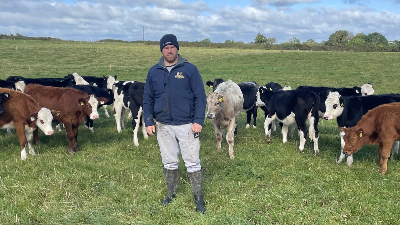 Watch: Seán O'Brien's suckler and dairy-beef farm in Carlow