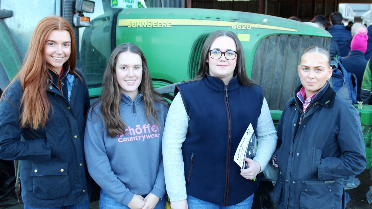 Winter oats make the difference on Down dairy farm